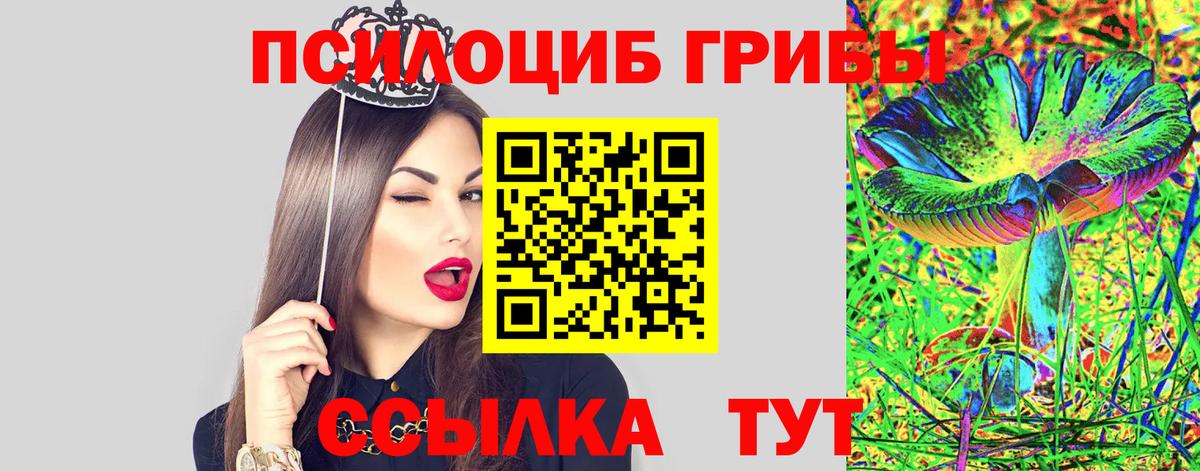 Братск  что такое наркотик  Вход с VPN  Псилоцибиновые грибы Psilocybine cubensis 